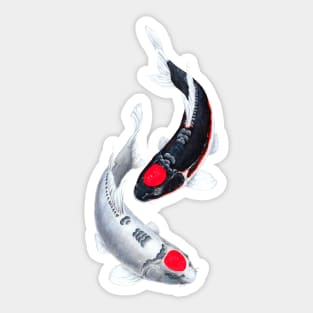 Yin Yang Koi Fish Tancho Sticker